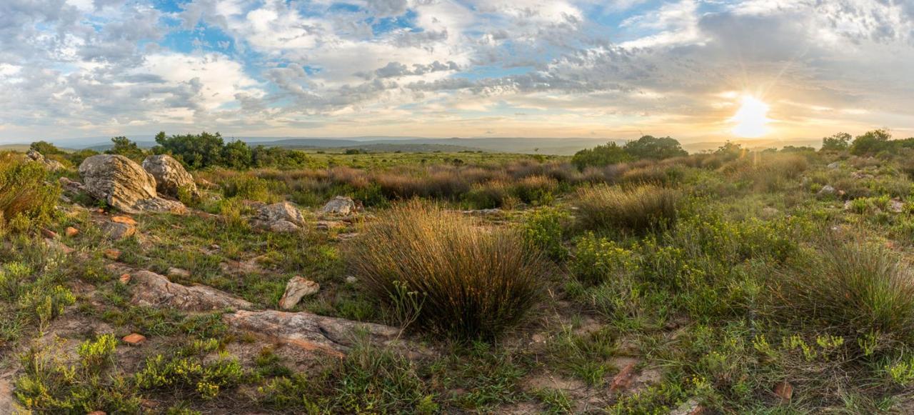 Shamwari Long Lee Manor Villa Paterson Eksteriør bilde